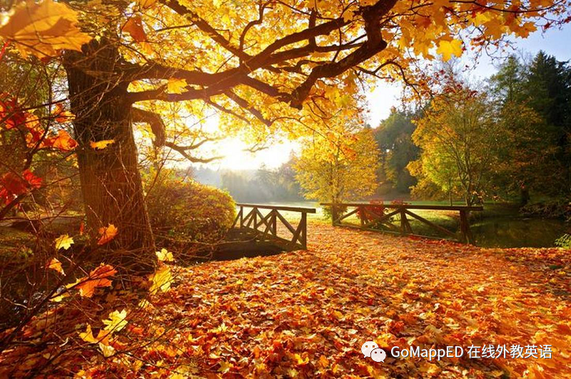 公益课优秀学生作文欣赏五 —— “秋天迷人的风景与宁静”