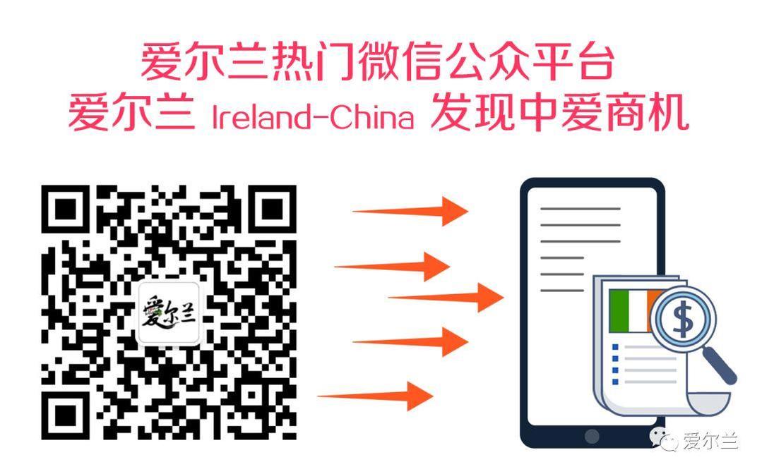 令人震惊的裁决：如果申请人去年离境一天，就不能授予爱尔兰公民身份