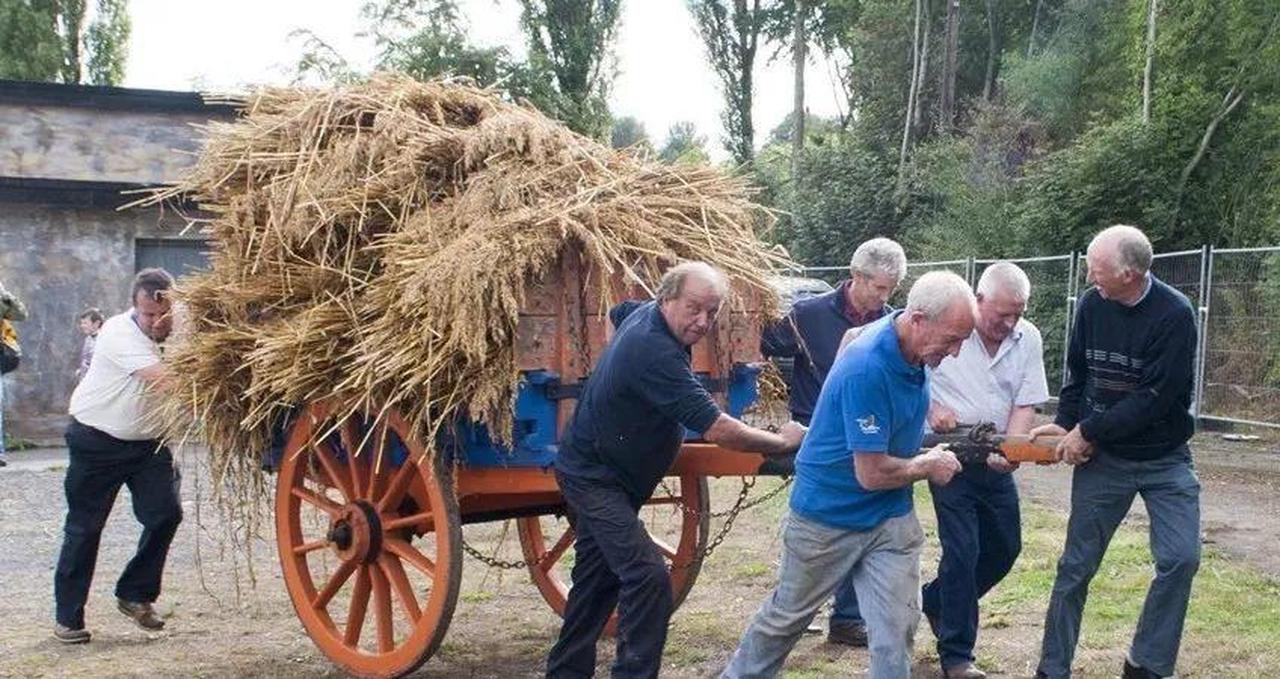 活动推荐 | 爱尔兰银行假日不知去哪？这几个活动你必去