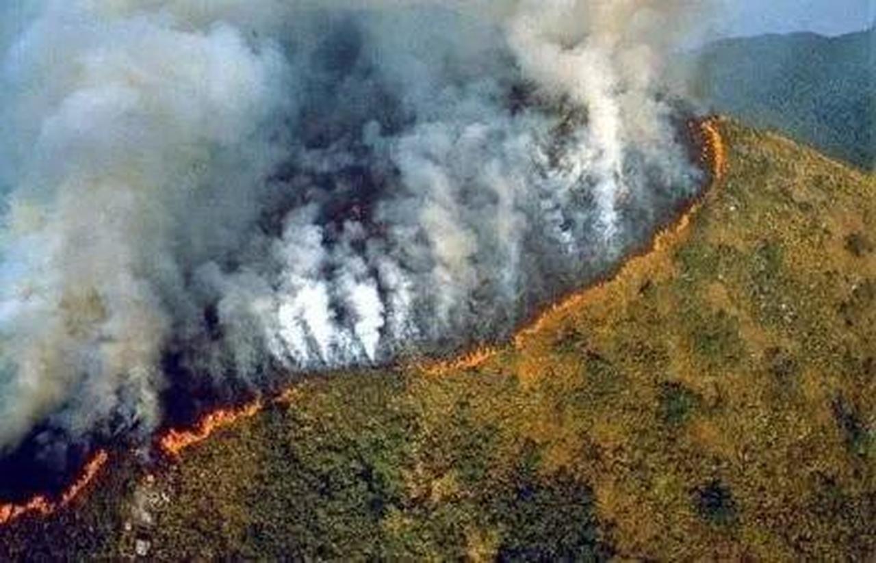 亚马逊雨林大火烧了近三周！巴西总统还在和环保组织打嘴架？！