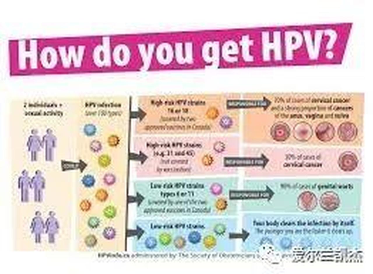 Cairde凯杰为您明确: HPV疫苗