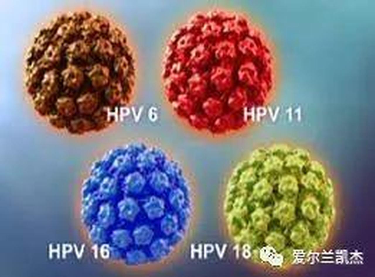 Cairde凯杰为您明确: HPV疫苗