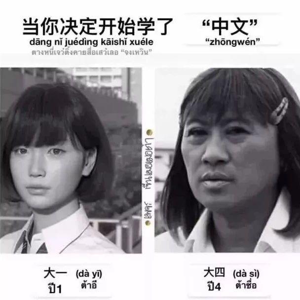 学中文究竟有多难，看到那些逼疯的外国人我不厚道的笑了