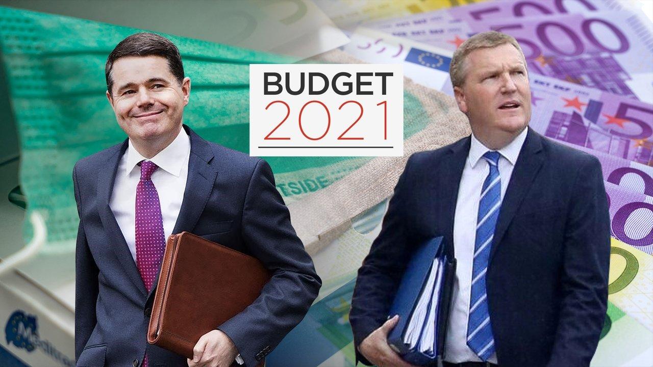 2021年预算：177.5亿欧元——爱尔兰史上最大的一笔预算一览
