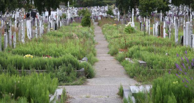 穿过墓地去上学：都柏林南部的孩子们将会有一条专属墓地自行车道