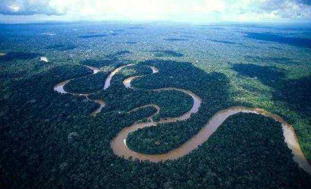 科学家警告说，亚马逊雨林的“枯死 ”可能正在接近临界点