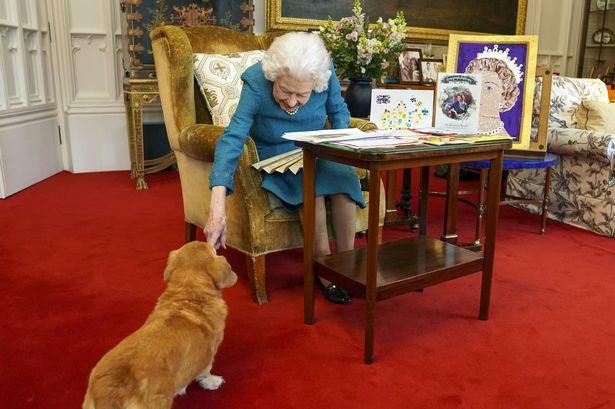 现年95岁的英国女王已经非常虚弱，连狗都遛不动了