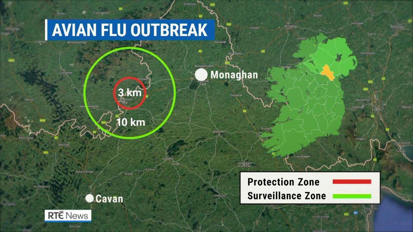 爱尔兰Monaghan郡的火鸡群发现禽流感
