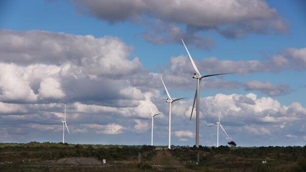 10月份，风能提供了爱尔兰近一半的能源需求