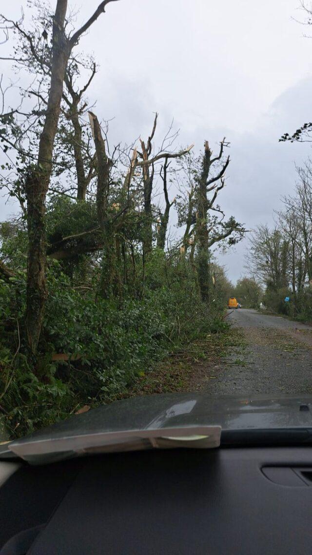 谁说爱尔兰不能有龙卷风？昨天Wexford郡就经历了一场浩劫