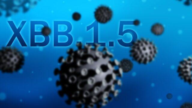新冠病毒XBB.1.5变体可能会成为爱尔兰的主导菌株