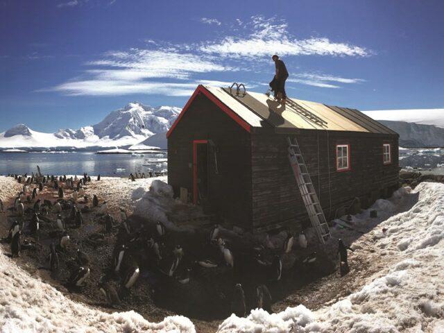世界上最偏远的工作在招人，主要任务是在南极洲……数企鹅！？