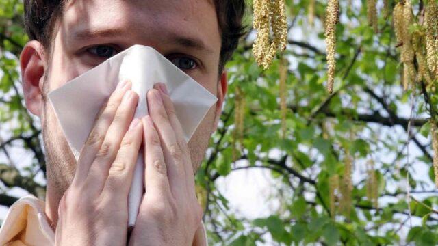 花粉病预警：爱尔兰未来48小时内花粉量将会很高