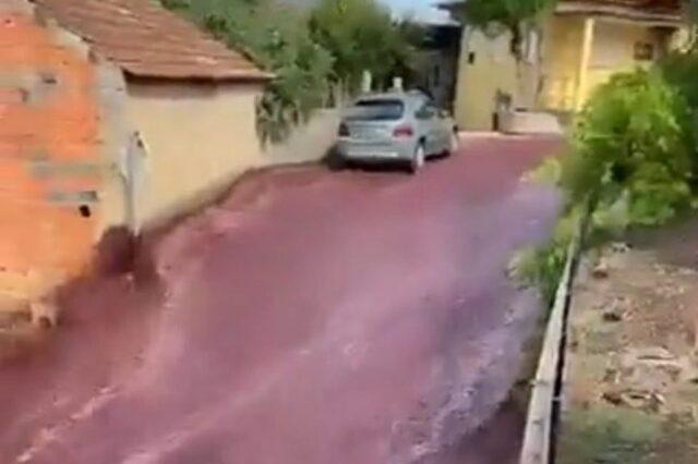 200万升红酒涌入葡萄牙村庄的街道，鉴赏家们哭了