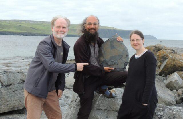 爱尔兰莫赫悬崖发现3.15亿年前海绵化石，网友的评论亮了