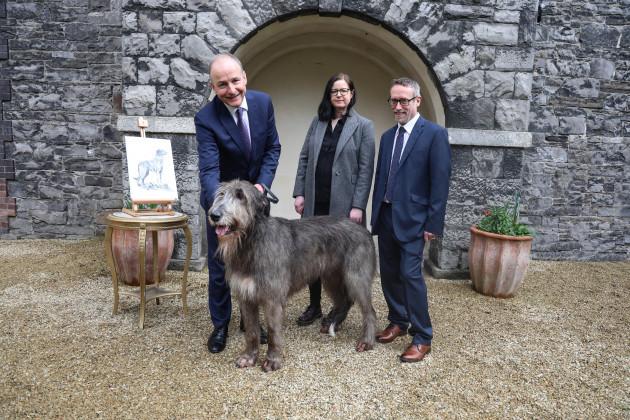 新一代爱尔兰护照设计揭秘：为何一只猎狼犬能夺人眼球？