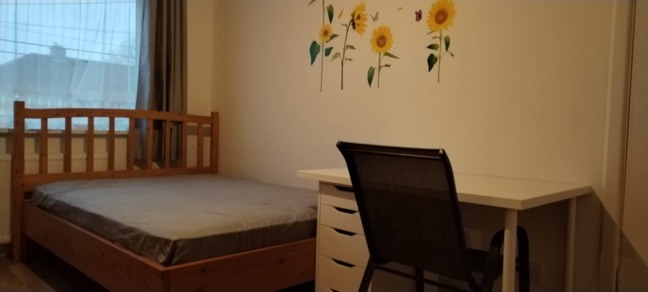 12区 Walkinstown Roun