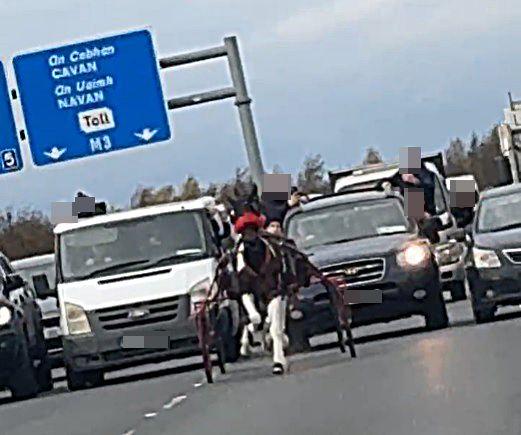 都柏林高速公路变成黑帮的马车赛道，老司机都看傻了！