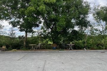 属性标题