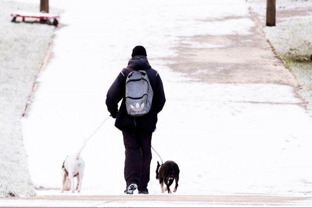 爱尔兰迎来极寒天气！周末可能会下雪，下周气温降至-10°C！