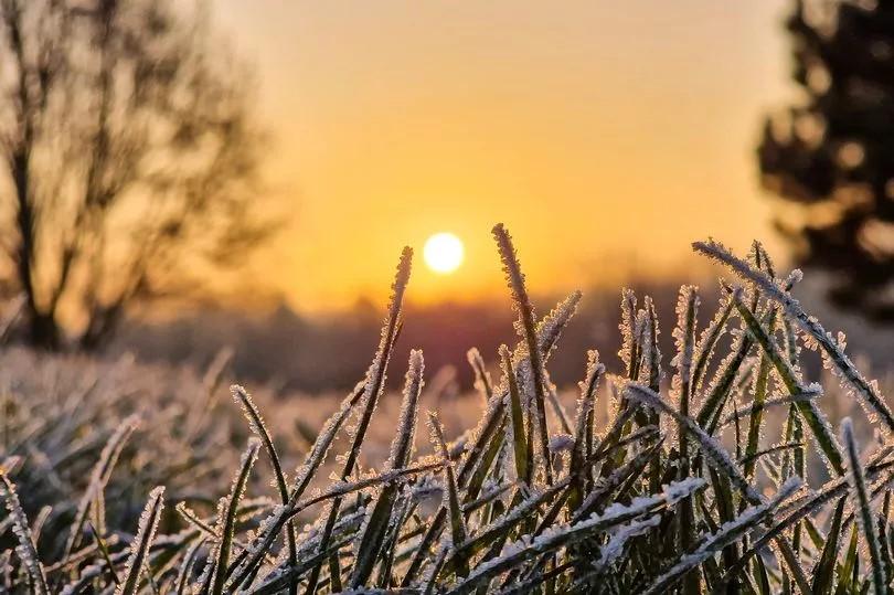 爱尔兰天气大变脸！明晚暴跌至1°C，后天又暖回12°C